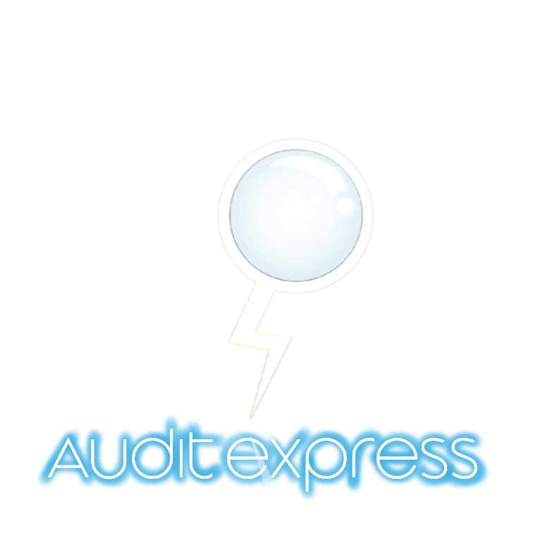 Audit Express